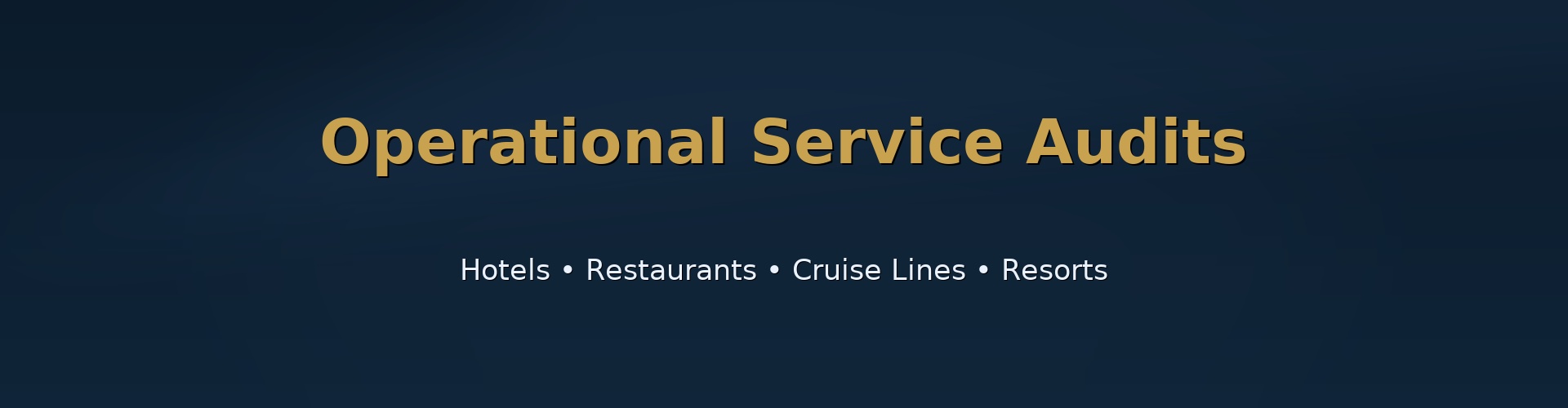 Operational Service Audits Banner
